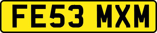 FE53MXM