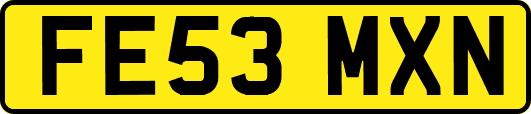 FE53MXN