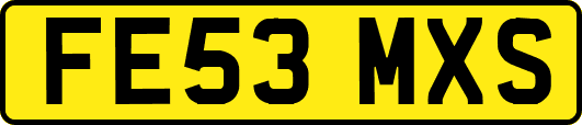 FE53MXS