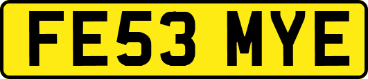 FE53MYE