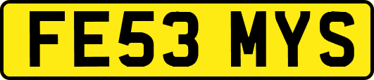 FE53MYS