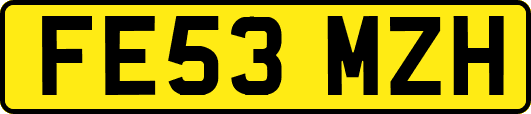 FE53MZH
