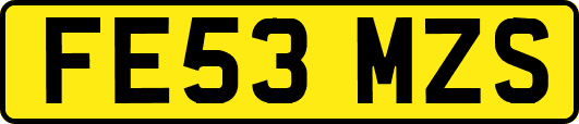 FE53MZS