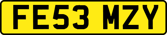 FE53MZY