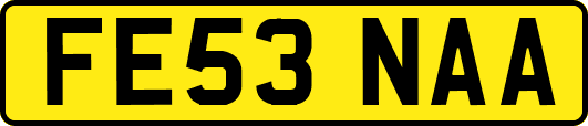 FE53NAA
