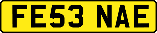 FE53NAE