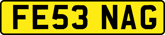 FE53NAG