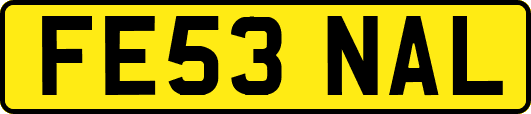 FE53NAL
