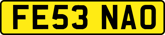 FE53NAO