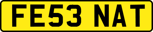 FE53NAT