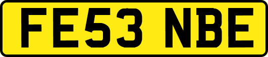 FE53NBE