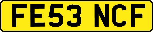 FE53NCF