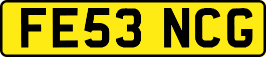 FE53NCG