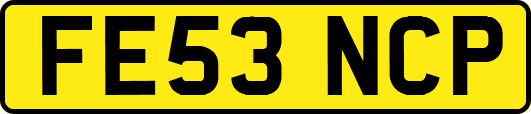 FE53NCP