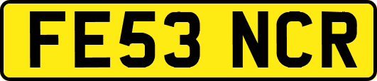FE53NCR