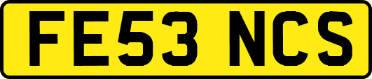 FE53NCS