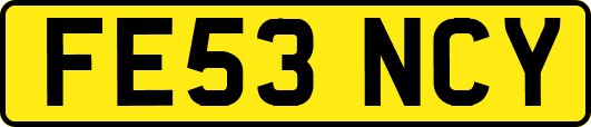 FE53NCY