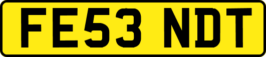 FE53NDT