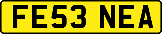 FE53NEA