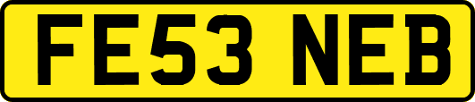 FE53NEB