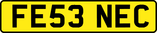 FE53NEC