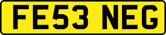 FE53NEG