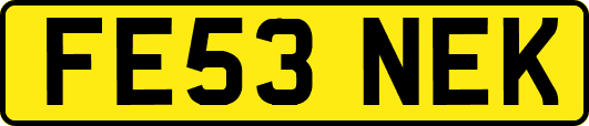 FE53NEK