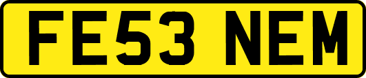FE53NEM