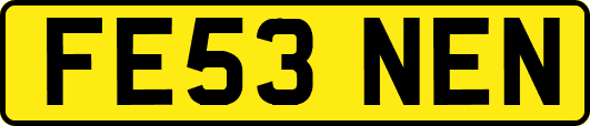 FE53NEN