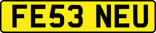 FE53NEU
