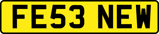 FE53NEW