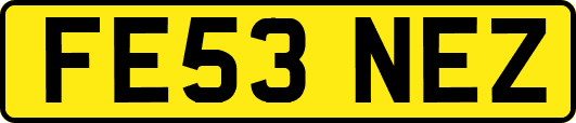FE53NEZ