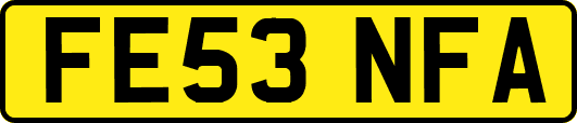 FE53NFA