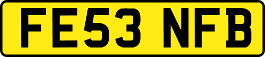 FE53NFB