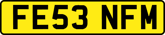 FE53NFM