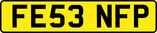 FE53NFP