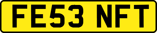 FE53NFT