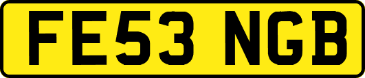 FE53NGB