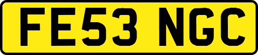 FE53NGC