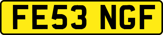 FE53NGF
