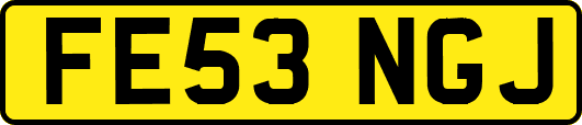 FE53NGJ