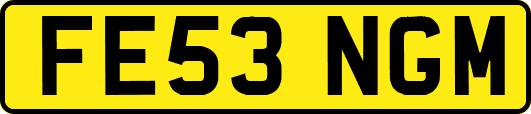 FE53NGM