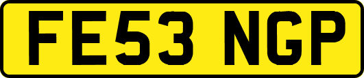 FE53NGP