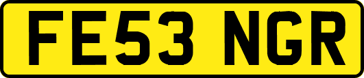 FE53NGR