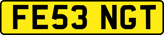 FE53NGT