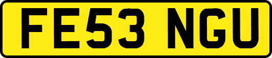 FE53NGU