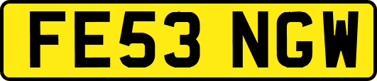 FE53NGW