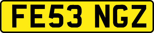 FE53NGZ