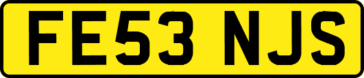 FE53NJS