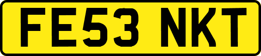 FE53NKT